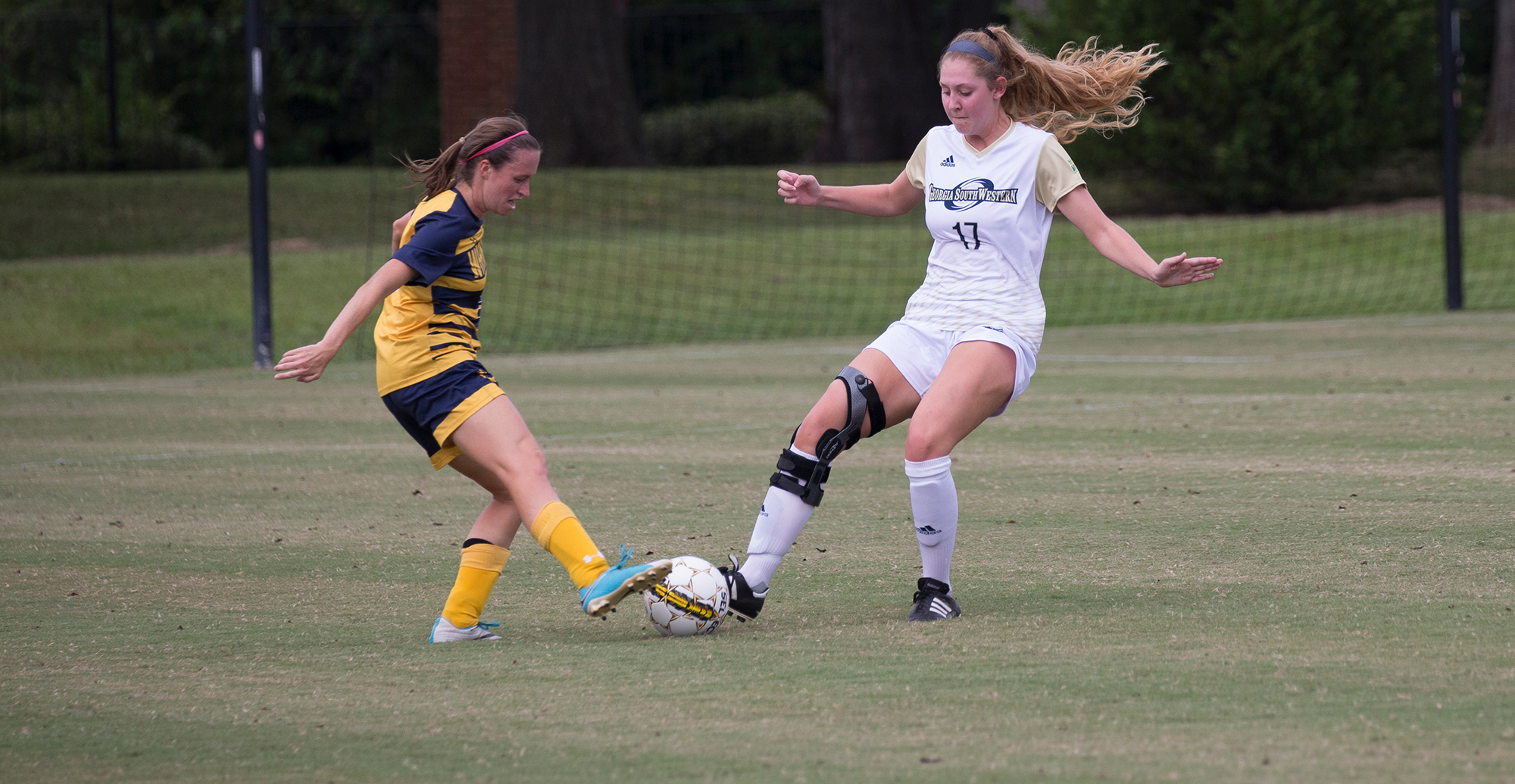 Young Harris Shutout Lady Canes
