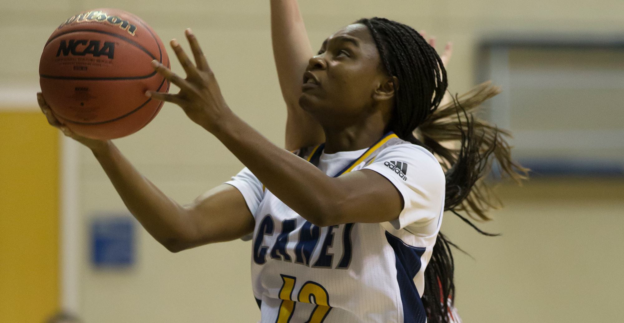 Bearcats Overpower Lady Canes