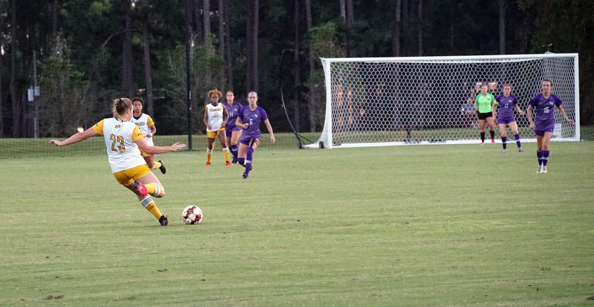 Lady Canes continue with best start in Program History