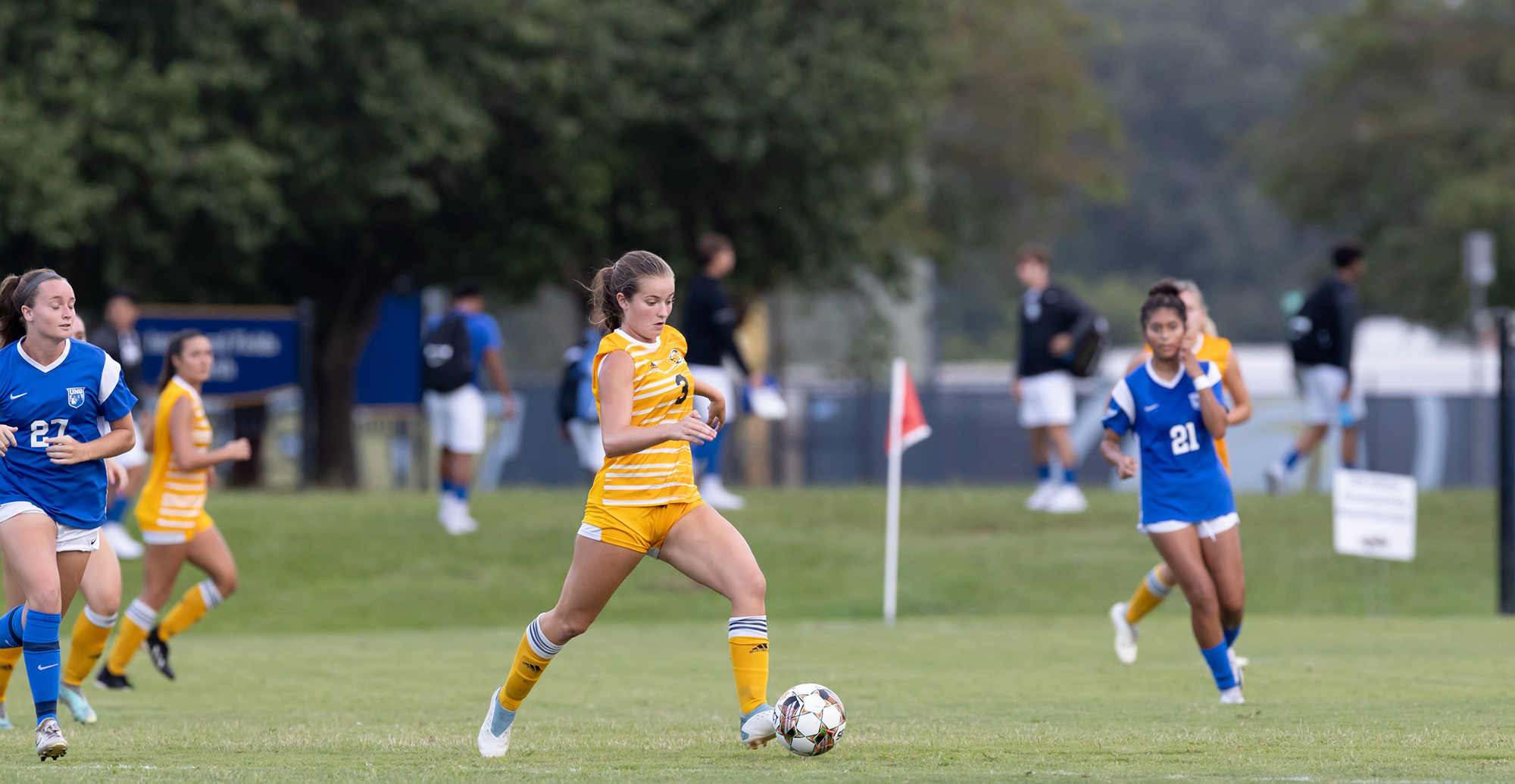 Unable To Tame The Cats; GSW Falls To Lander 1-0
