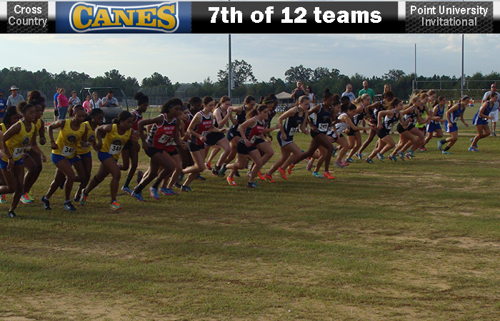 Lady 'Canes Finish 7th Of 12 At Point Invite